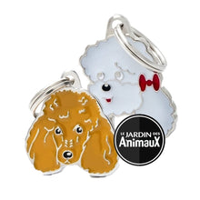 Charger l'image dans la galerie, Médaille pour chien collection Friends, CANICHE, Couleurs variées - Boutique Le Jardin Des Animaux -médailleBoutique Le Jardin Des AnimauxMF20BLACK

