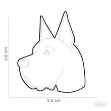 Charger l'image dans la galerie, Médaille pour chien collection Friends, DANOIS, Couleurs variées - Boutique Le Jardin Des Animaux -médailleBoutique Le Jardin Des AnimauxMF01
