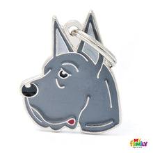 Charger l'image dans la galerie, Médaille pour chien collection Friends, DANOIS, Couleurs variées - Boutique Le Jardin Des Animaux -médailleBoutique Le Jardin Des AnimauxMF01
