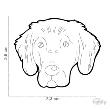 Charger l'image dans la galerie, Médaille pour chien collection Friends, FLAT COAT RETRIEVER - Boutique Le Jardin Des Animaux -médailleBoutique Le Jardin Des AnimauxMF103
