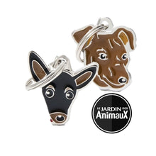 Charger l'image dans la galerie, Médaille pour chien collection Friends, PINSCHER, couleurs variées - Boutique Le Jardin Des Animaux -médailleBoutique Le Jardin Des AnimauxMF26BLACK
