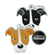 Charger l'image dans la galerie, Médaille pour chien collection Friends, PITBULL, Couleurs variées - Boutique Le Jardin Des Animaux -médailleBoutique Le Jardin Des AnimauxMF06
