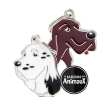 Charger l'image dans la galerie, Médaille pour chien collection Friends, SETTER, Couleurs variées - Boutique Le Jardin Des Animaux -médailleBoutique Le Jardin Des AnimauxMF28ENGLISH
