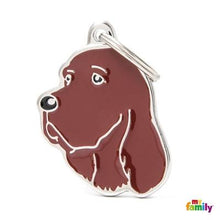 Charger l'image dans la galerie, Médaille pour chien collection Friends, SETTER, Couleurs variées - Boutique Le Jardin Des Animaux -médailleBoutique Le Jardin Des AnimauxMF28ENGLISH
