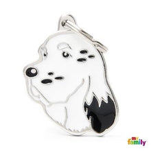 Charger l'image dans la galerie, Médaille pour chien collection Friends, SETTER, Couleurs variées - Boutique Le Jardin Des Animaux -médailleBoutique Le Jardin Des AnimauxMF28ENGLISH
