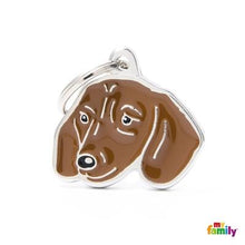 Charger l'image dans la galerie, Médaille pour chien collection Friends, TECKELL, Couleurs variées - Boutique Le Jardin Des Animaux -médailleBoutique Le Jardin Des AnimauxMF19NBROWN
