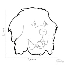 Charger l'image dans la galerie, Médaille pour chien collection Friends, TERRE-NEUVE - Boutique Le Jardin Des Animaux -médailleBoutique Le Jardin Des AnimauxMF17
