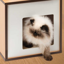 Charger l'image dans la galerie, Meuble Box Vesper Petit – noyer, arbre à chat - Boutique Le Jardin Des Animaux -Griffoir, meuble et litBoutique Le Jardin Des Animaux
