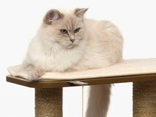 Charger l'image dans la galerie, Meuble High Base Vesper – chêne, arbre à chat - Boutique Le Jardin Des Animaux -Griffoir, meuble et litBoutique Le Jardin Des Animaux52042
