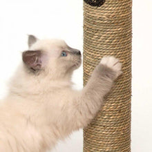 Charger l'image dans la galerie, Meuble High Base Vesper – chêne, arbre à chat - Boutique Le Jardin Des Animaux -Griffoir, meuble et litBoutique Le Jardin Des Animaux52042
