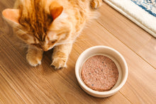 Charger l'image dans la galerie, Nourriture crue pour chat Faim Museau - Canard et boeuf - Boutique Le Jardin Des Animaux -Nourriture chatBoutique Le Jardin Des Animaux

