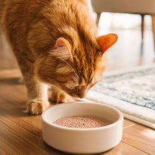 Charger l'image dans la galerie, Nourriture crue pour chat Faim Museau - Poulet et saumon - Boutique Le Jardin Des Animaux -Nourriture chatBoutique Le Jardin Des Animaux
