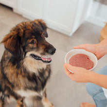 Charger l'image dans la galerie, Nourriture crue pour chien Faim Museau - Canard &amp; Agneau - Boutique Le Jardin Des Animaux -Nourriture chienBoutique Le Jardin Des Animaux
