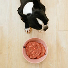 Charger l'image dans la galerie, Nourriture crue pour chien Faim Museau - Canard Hypoallergénique - Boutique Le Jardin Des Animaux -Nourriture chienBoutique Le Jardin Des Animaux
