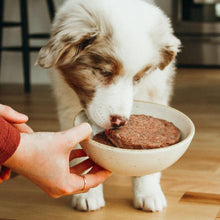 Charger l'image dans la galerie, Nourriture crue pour chien Faim Museau - Simplement Bœuf - Boutique Le Jardin Des Animaux -Nourriture chienBoutique Le Jardin Des AnimauxECHSIMBOEUF
