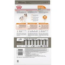 Charger l'image dans la galerie, Nourriture Royal Canin petit chien soin pelage - Boutique Le Jardin Des Animaux -Nourriture chienBoutique Le Jardin Des AnimauxRCPSP170

