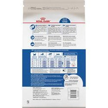 Charger l'image dans la galerie, Nourriture Royal Canin pour Chat Adulte d'intérieur poils longs - Boutique Le Jardin Des Animaux -Nourriture chatBoutique Le Jardin Des AnimauxRCFBF3
