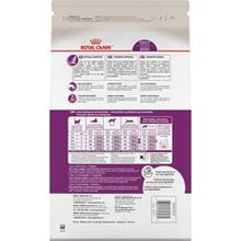 Charger l'image dans la galerie, Nourriture Royal Canin pour Chat Adulte Spécial digestion sensible - Boutique Le Jardin Des Animaux -Nourriture chatBoutique Le Jardin Des AnimauxRCFF035
