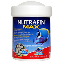 Charger l'image dans la galerie, Nutrafin Max comprimés à la spiruline pour poissons tropicaux - Boutique Le Jardin Des Animaux -Nourriture PoissonBoutique Le Jardin Des Animauxa6762

