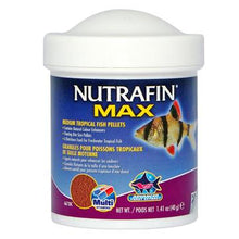Charger l'image dans la galerie, Nutrafin Max granulés pour poissons tropicaux, - Boutique Le Jardin Des Animaux -Nourriture PoissonBoutique Le Jardin Des Animauxa6730
