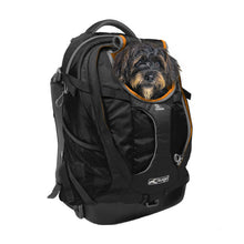 Charger l'image dans la galerie, Kurgo Sac à Dos G-train, porte-chien, jusqu'à 25lbs
