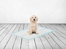 Charger l'image dans la galerie, Savic Serviettes d’entraînement pour chien large - Boutique Le Jardin Des Animaux -entrainement proprrtéBoutique Le Jardin Des Animauxd-3248
