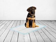 Charger l'image dans la galerie, Savic Serviettes d’entraînement pour chien Xlarge - Boutique Le Jardin Des Animaux -entrainement proprrtéBoutique Le Jardin Des Animauxd-3523
