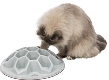 Charger l'image dans la galerie, Snack Hive XXL - Boutique Le Jardin Des Animaux -Accessoires de nourrissageBoutique Le Jardin Des AnimauxTRE45893
