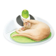 Charger l'image dans la galerie, Station de bien-être Senses Catit 2.0 - Boutique Le Jardin Des Animaux -Jouet chatBoutique Le Jardin Des Animaux43153W
